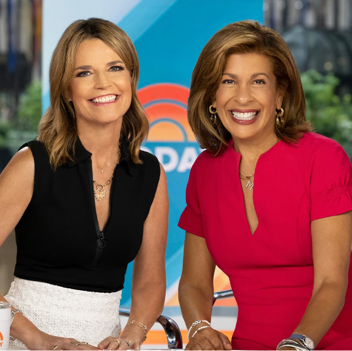 Dylan Dreyer's Post-Mishap Relationship With Today Show Co-Stars Dylan Dreyer's Post-Mishap Relationship With Today Show Co-Stars
