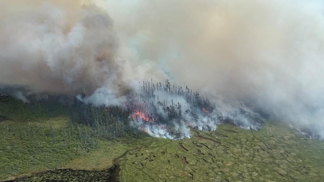 Eastern Newfoundland Wildfires: A Growing Crisis Eastern Newfoundland Wildfires: A Growing Crisis