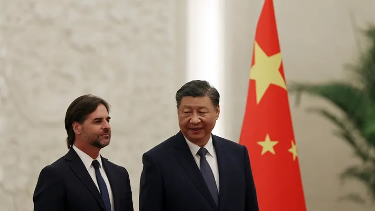 El Inusual Regalo De Uruguay A China Y Su Impacto En Las Exportaciones Ganaderas El Inusual Regalo De Uruguay A China Y Su Impacto En Las Exportaciones Ganaderas