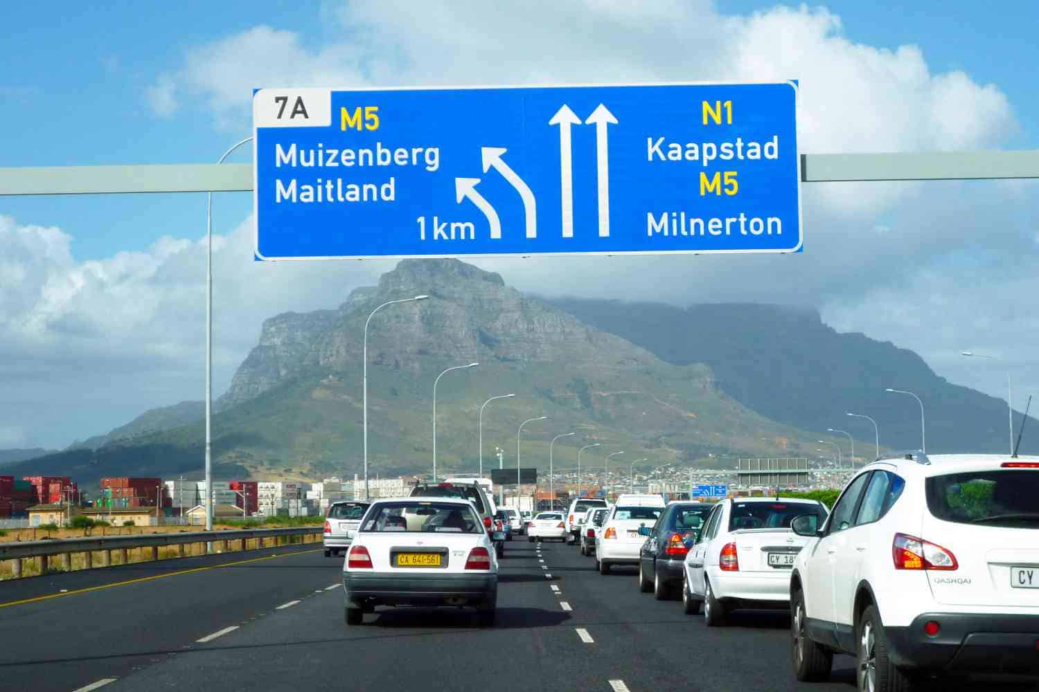 Elephant Seal Disrupts Cape Town Traffic Elephant Seal Disrupts Cape Town Traffic
