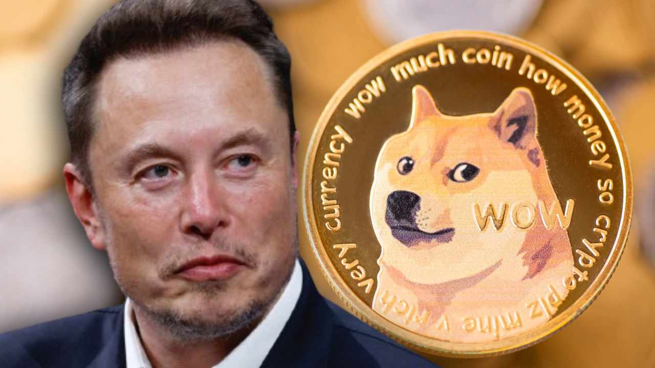 Elon Musk And Dogecoin: A Risky Investment? Analyzing Tesla's Stock Performance Elon Musk And Dogecoin: A Risky Investment? Analyzing Tesla's Stock Performance
