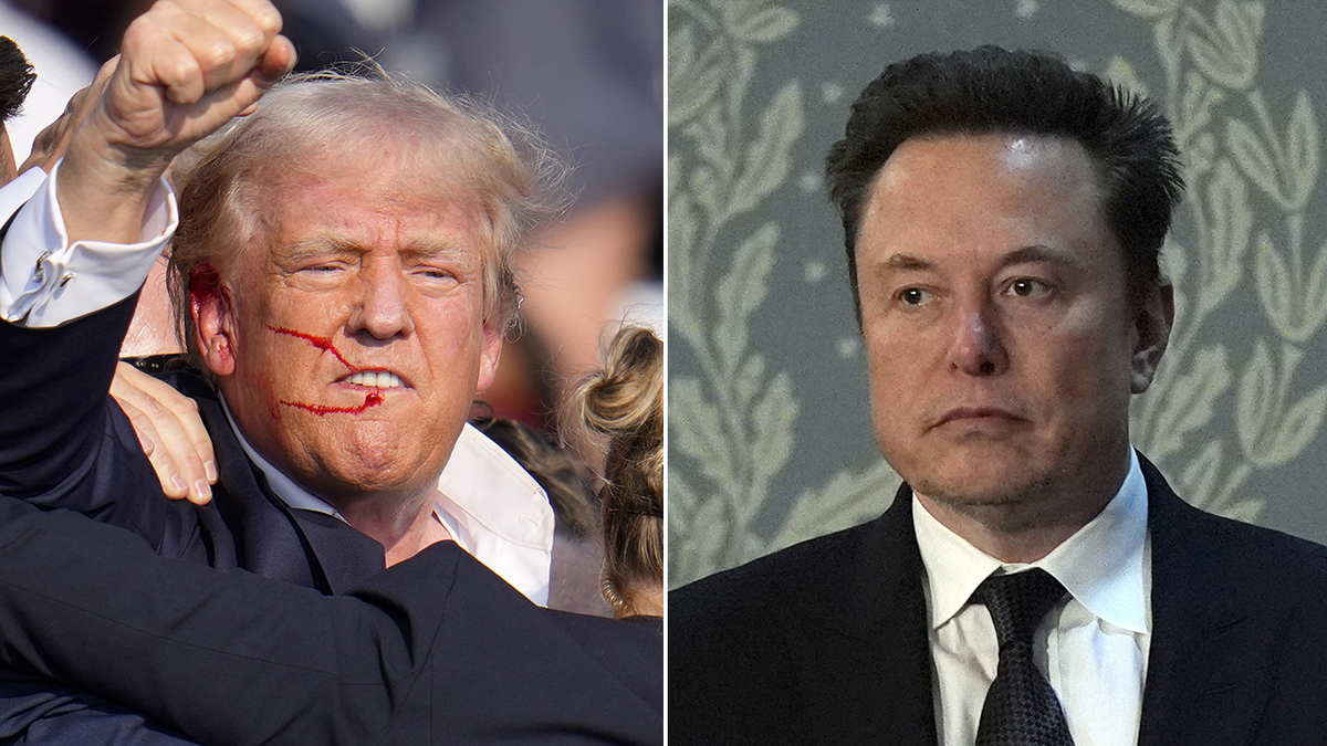 Elon Musk Resigns From Trump Administration: Reasons And Implications Elon Musk Resigns From Trump Administration: Reasons And Implications