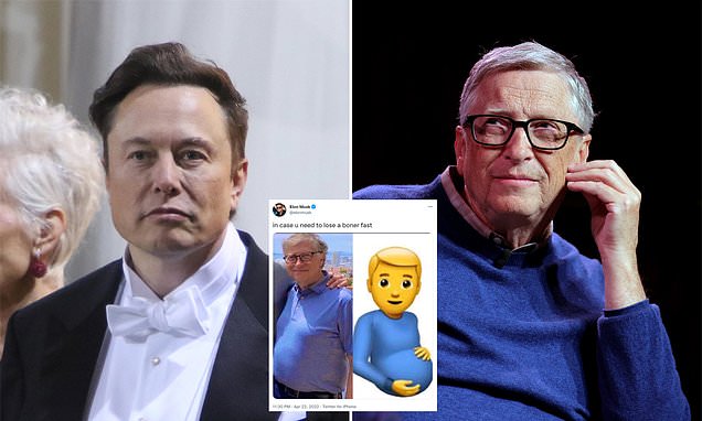 Elon Musk's Response To Bill Gates' Child Poverty Accusation Elon Musk's Response To Bill Gates' Child Poverty Accusation
