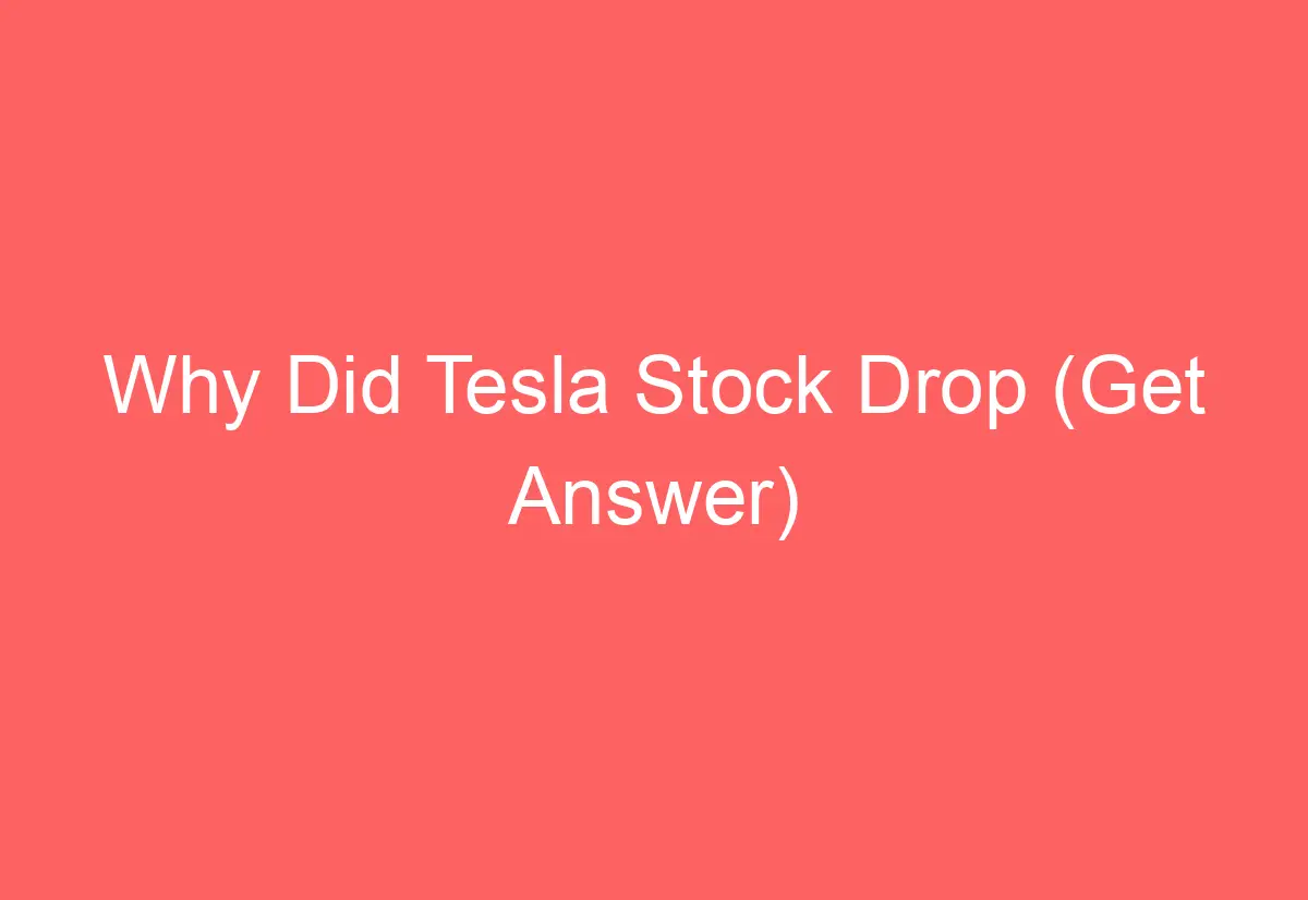 Elon Musk's Time: Tesla Stock Drop Impacts Dogecoin Elon Musk's Time: Tesla Stock Drop Impacts Dogecoin