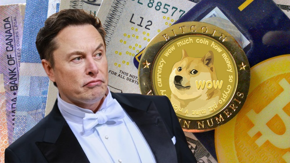 Elon Musk's Timing And The Dogecoin Dip: A Market Analysis Elon Musk's Timing And The Dogecoin Dip: A Market Analysis