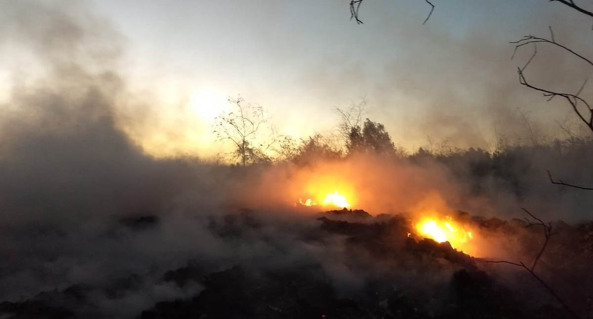 Emergencia En Constanza: Bomberos Combaten Violento Incendio Forestal Emergencia En Constanza: Bomberos Combaten Violento Incendio Forestal