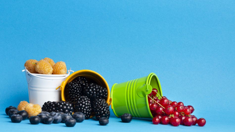 Envejecimiento Saludable: El Superalimento Que Necesitas Conocer (y No Es El Arándano) Envejecimiento Saludable: El Superalimento Que Necesitas Conocer (y No Es El Arándano)