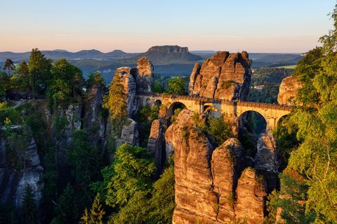 Erfolgreiche Naturschutzmaßnahme: 190.000 Bäume Im Nationalpark Sächsische Schweiz Gepflanzt Erfolgreiche Naturschutzmaßnahme: 190.000 Bäume Im Nationalpark Sächsische Schweiz Gepflanzt