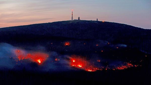 Essen-Heisingen 07.04.2025: Feuerwehr Bekämpft Nächtlichen Waldbrand Essen-Heisingen 07.04.2025: Feuerwehr Bekämpft Nächtlichen Waldbrand