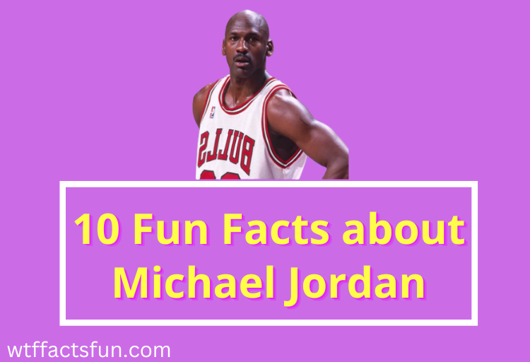 Essential Michael Jordan Fast Facts For Basketball Fans Essential Michael Jordan Fast Facts For Basketball Fans