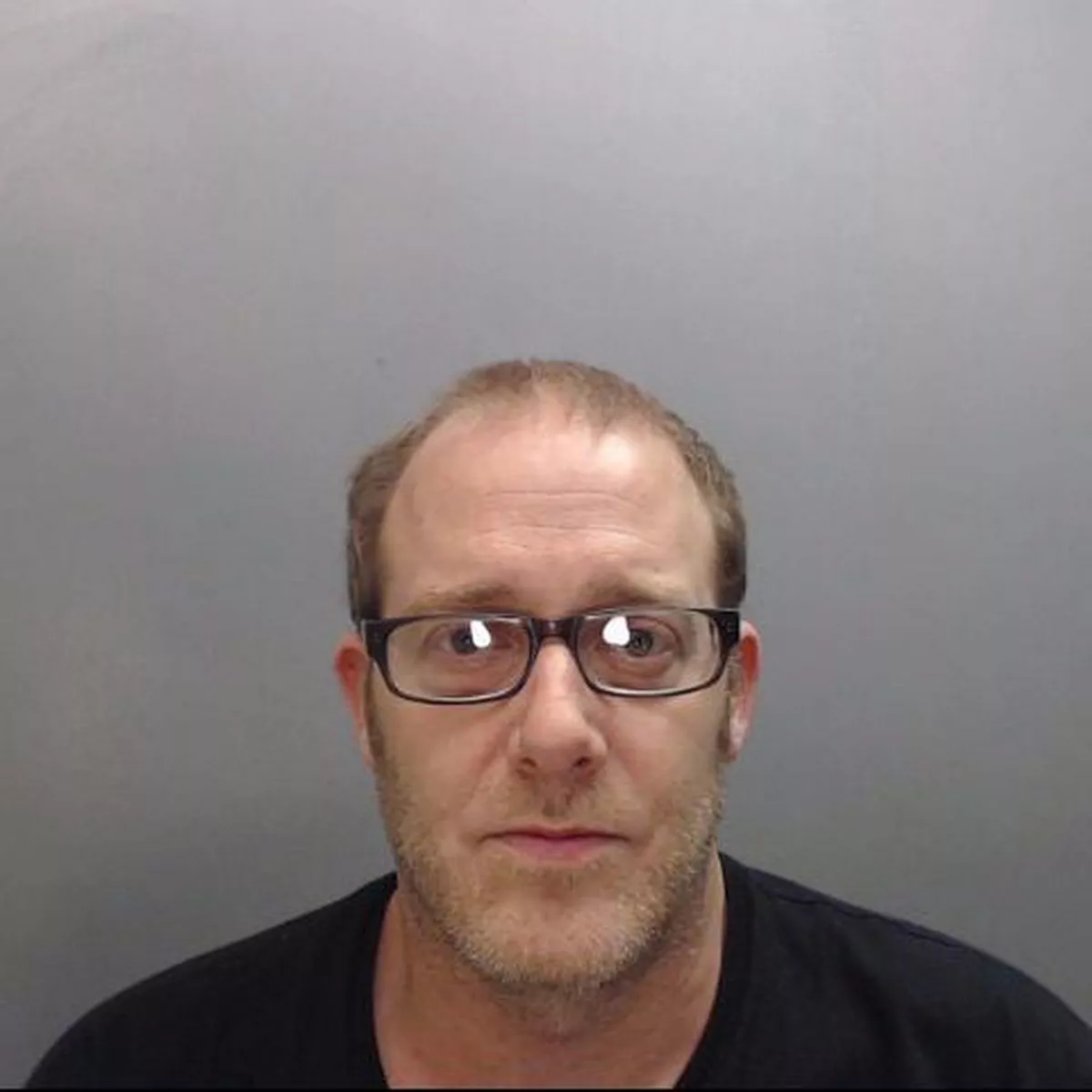 Essex Man Sentenced For Animal Pornography Offences