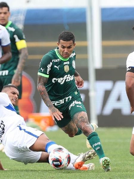 Estêvão: Vômito Em Altitude Interrompe Partida Do Palmeiras