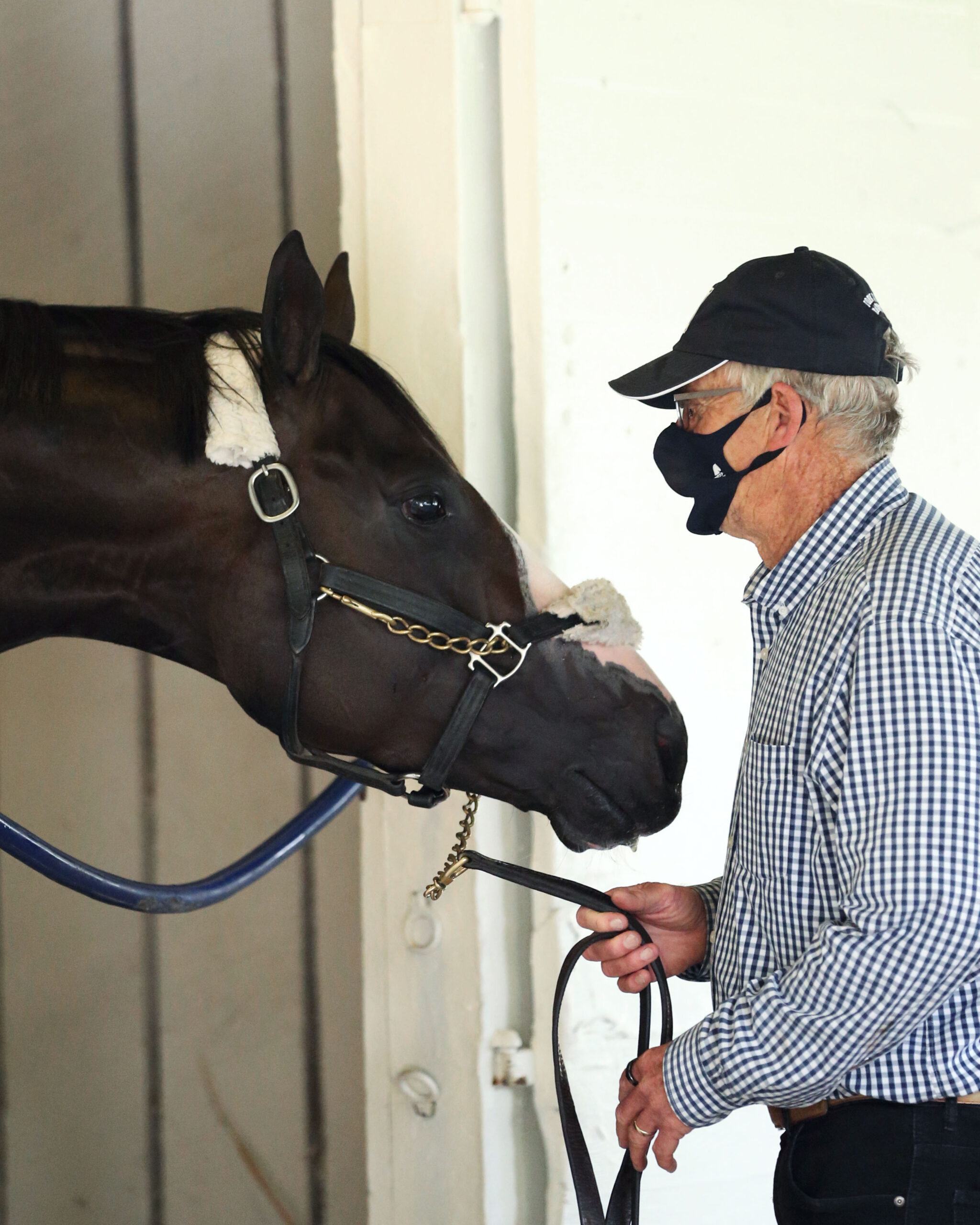 Estimating The 2025 Kentucky Derby Pace: Key Indicators And Insights Estimating The 2025 Kentucky Derby Pace: Key Indicators And Insights