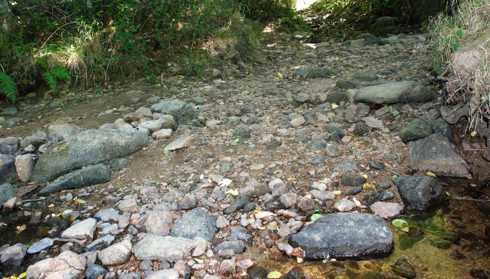 Étude De L'ingénierie Castor Dans Deux Cours D'eau De La Drôme Étude De L'ingénierie Castor Dans Deux Cours D'eau De La Drôme