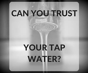 Evanston Tap Water Trust: A Study Of Gender, Race, And Personal History Evanston Tap Water Trust: A Study Of Gender, Race, And Personal History