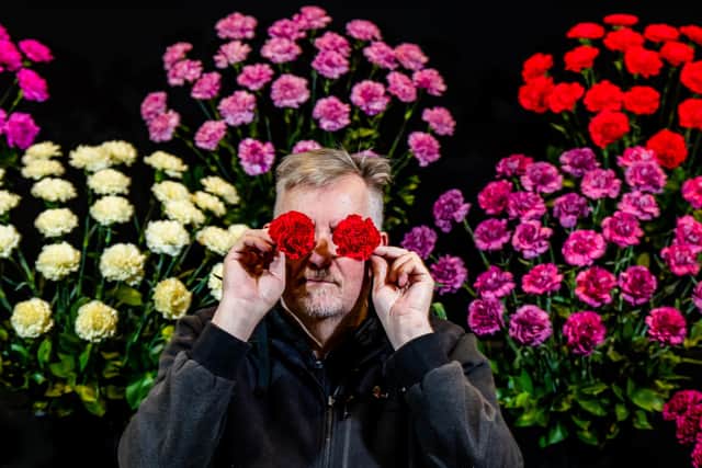 Everything You Need To Know: Harrogate Spring Flower Show 2025 (April 24-27)