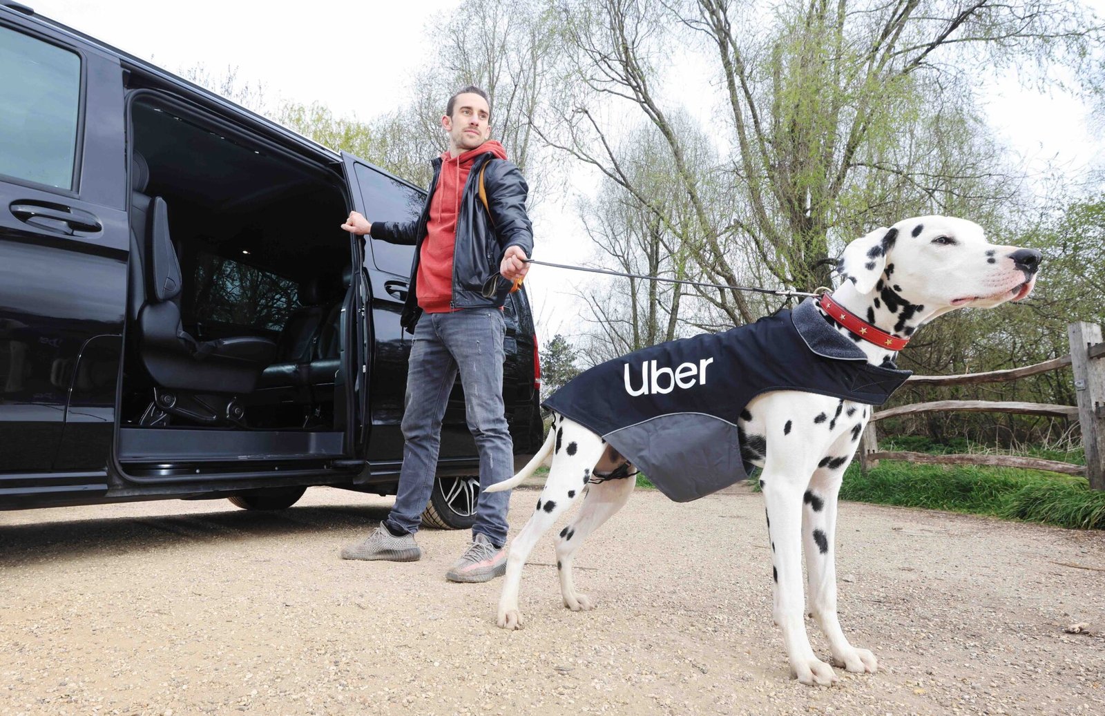 Expanded Uber Pet Services: Delhi & Mumbai Launch Expanded Uber Pet Services: Delhi & Mumbai Launch