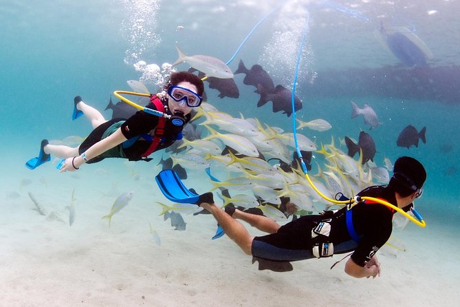 Experience Montego Bay: Beyond The Tourist Trail Experience Montego Bay: Beyond The Tourist Trail