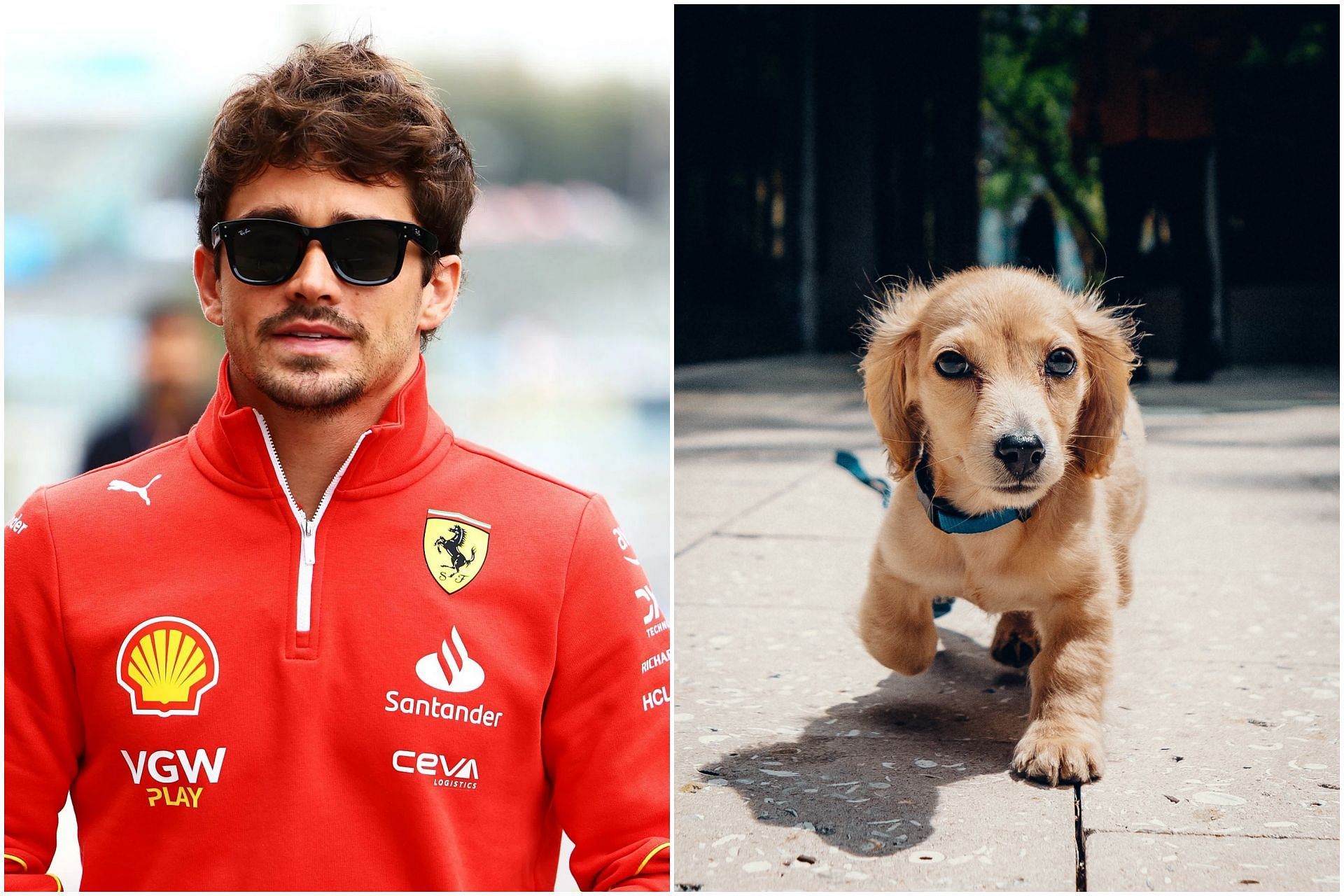 Ferrari And Charles Leclerc: The Imola GP Statement Explained Ferrari And Charles Leclerc: The Imola GP Statement Explained