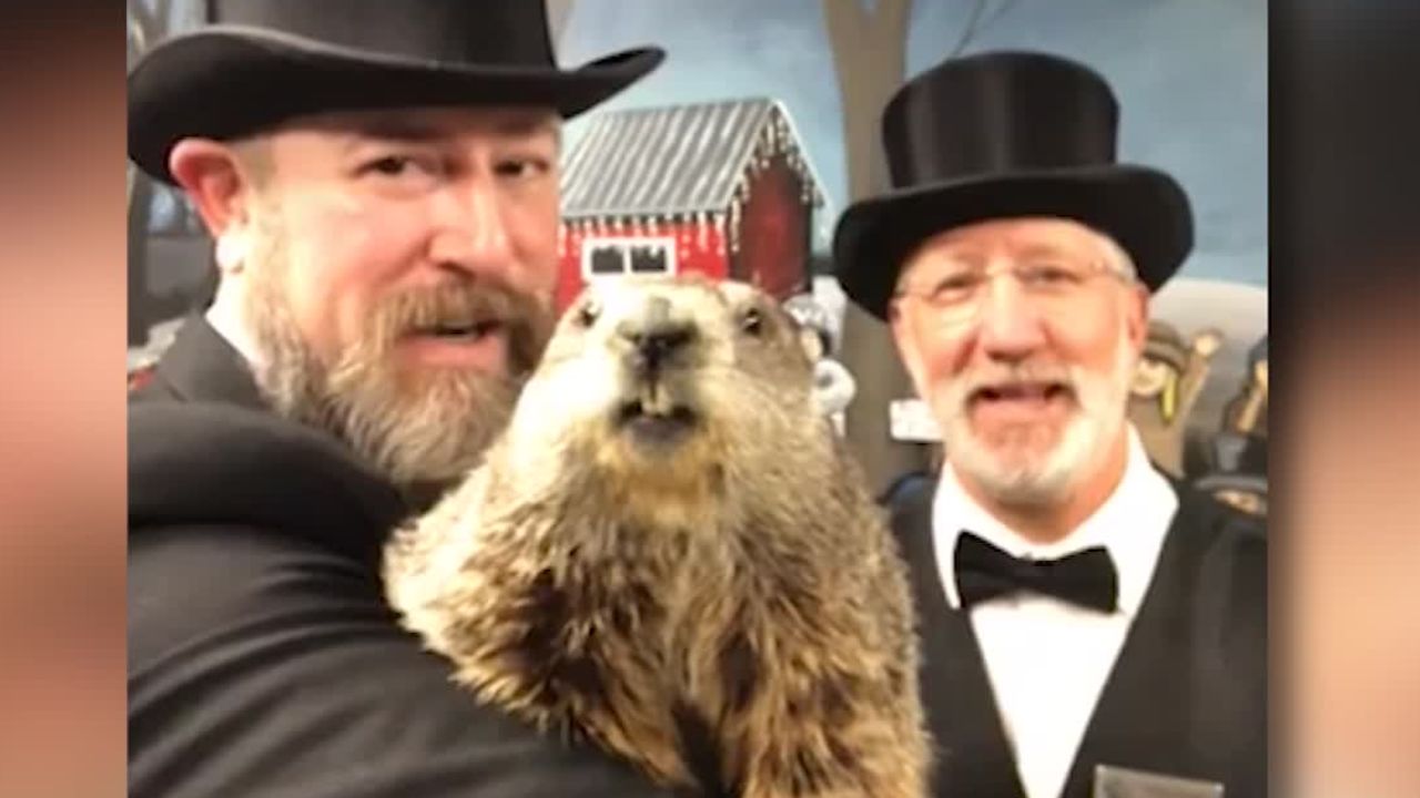 First Birthday Celebration For Punxsutawney Phil's Child First Birthday Celebration For Punxsutawney Phil's Child