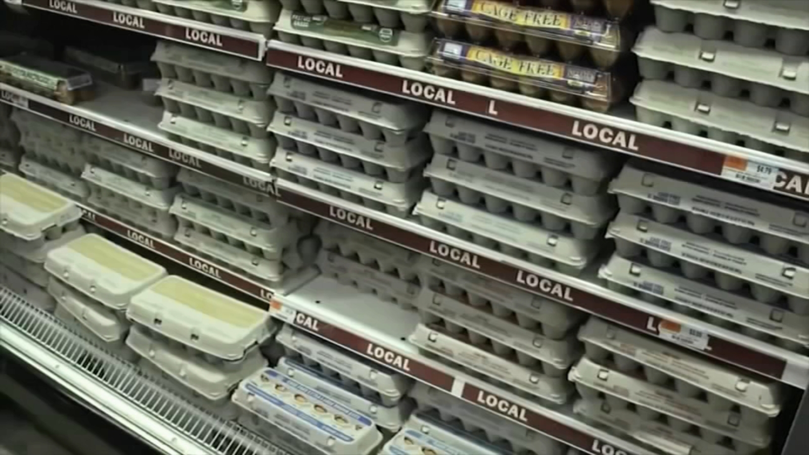 From Fiction To Fact: Examining Trump's Egg Price Statement