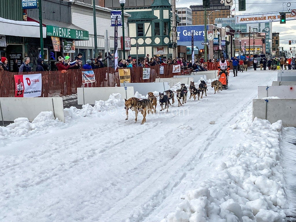 Fur Rondy: Shorter Race, Unwavering Mushers Fur Rondy: Shorter Race, Unwavering Mushers