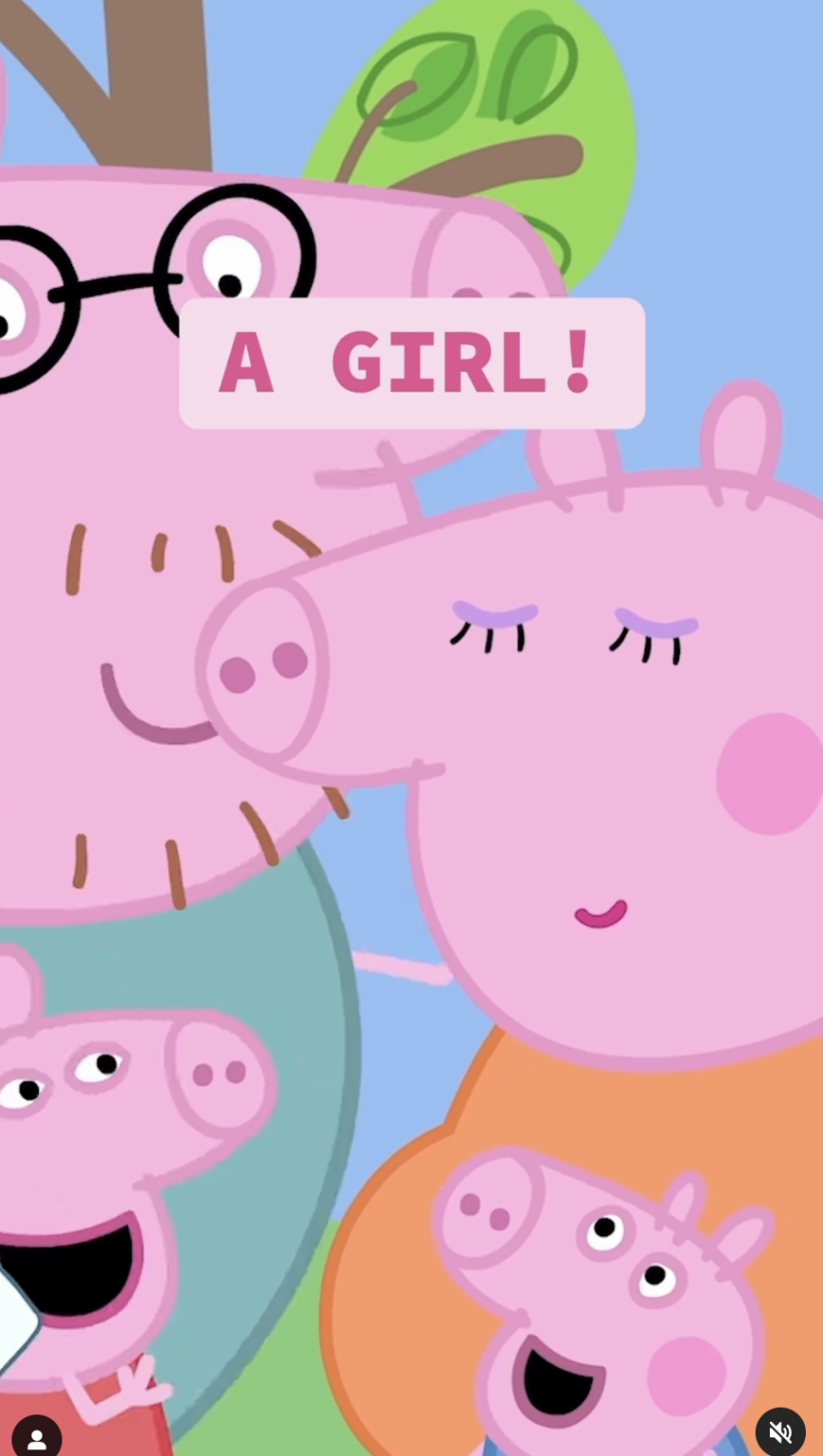 Gender Reveal: Peppa Pig's Family Welcomes A New Member Gender Reveal: Peppa Pig's Family Welcomes A New Member