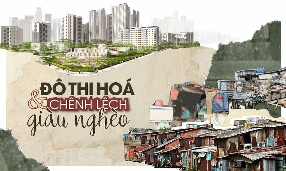 Giá Tiêu Hôm Nay: Phân Tích Thị Trường Và Tác Động Đến Nông Dân