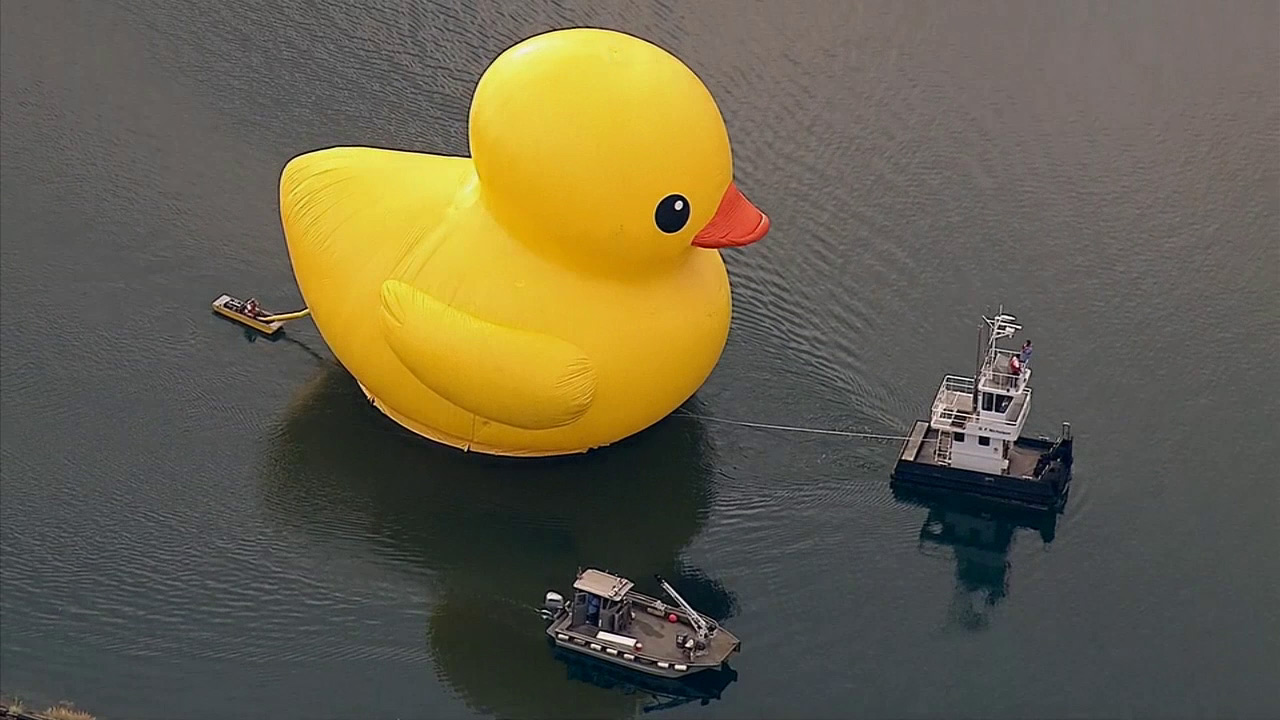 Giant Rubber Duck Arrives In Myrtle Beach For Water Safety Campaign Giant Rubber Duck Arrives In Myrtle Beach For Water Safety Campaign