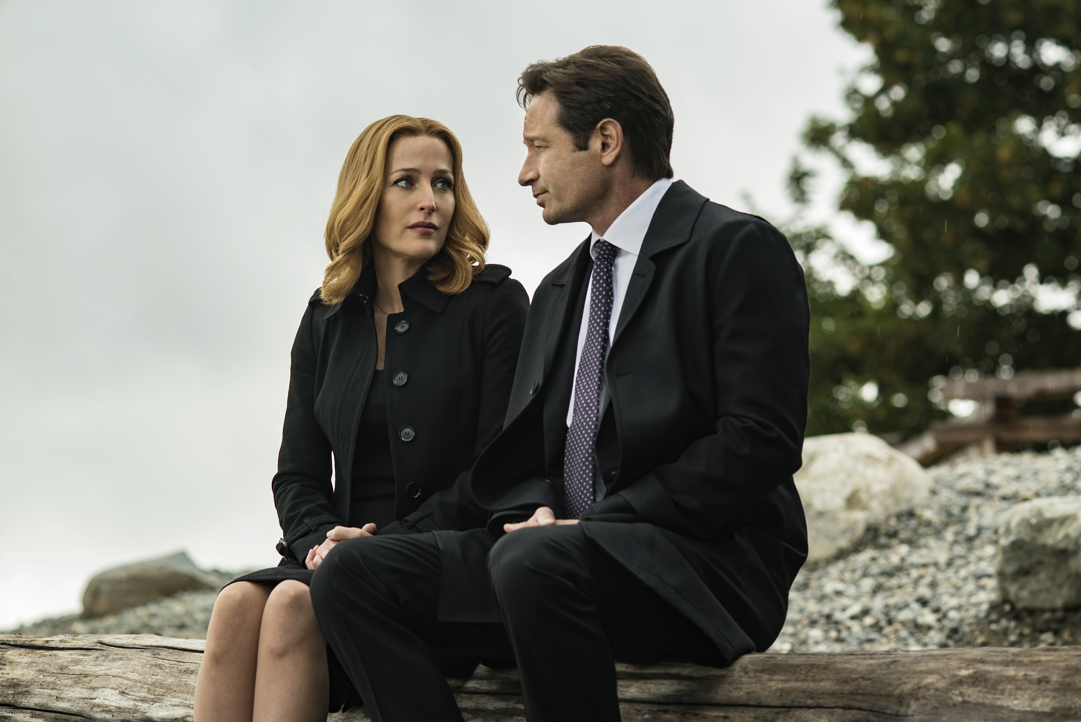 Gillian Anderson's X-Files Return: Fears And Excitement Gillian Anderson's X-Files Return: Fears And Excitement