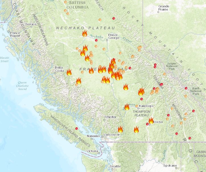 Global Forest Destruction: Wildfires Contribute To Unprecedented Losses Global Forest Destruction: Wildfires Contribute To Unprecedented Losses