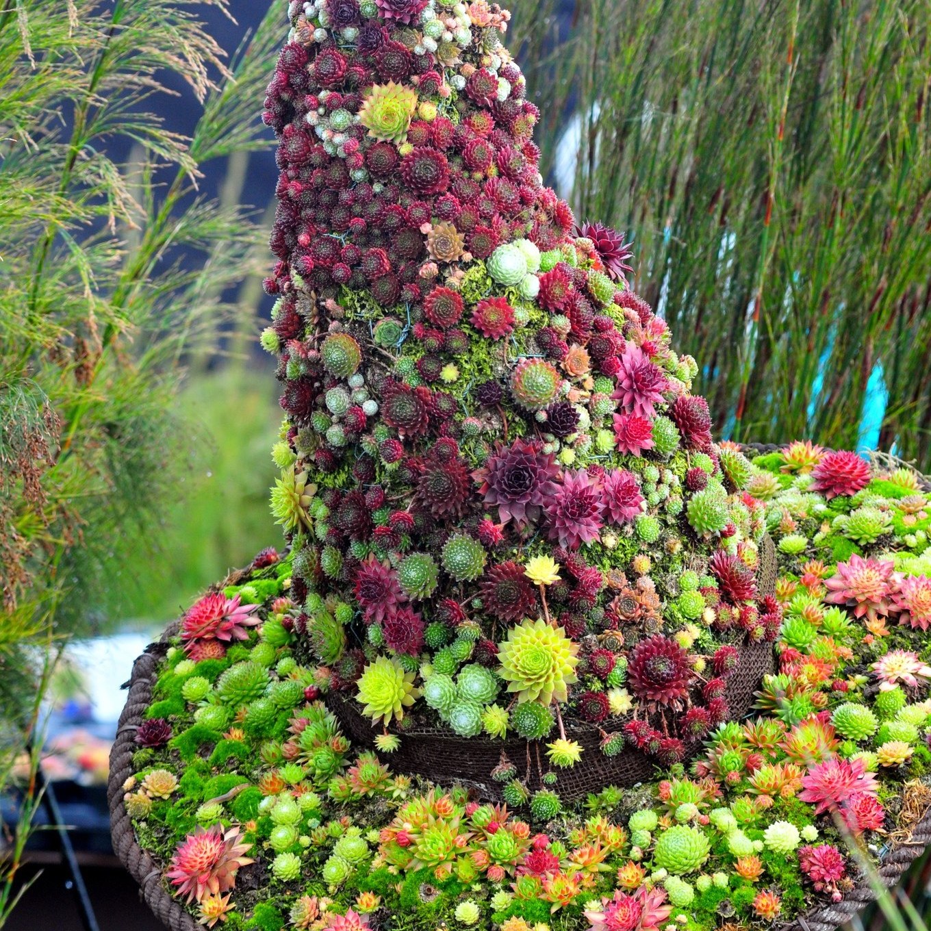 Harrogate Spring Flower Show 2025:  Full Speaker Programme Announced