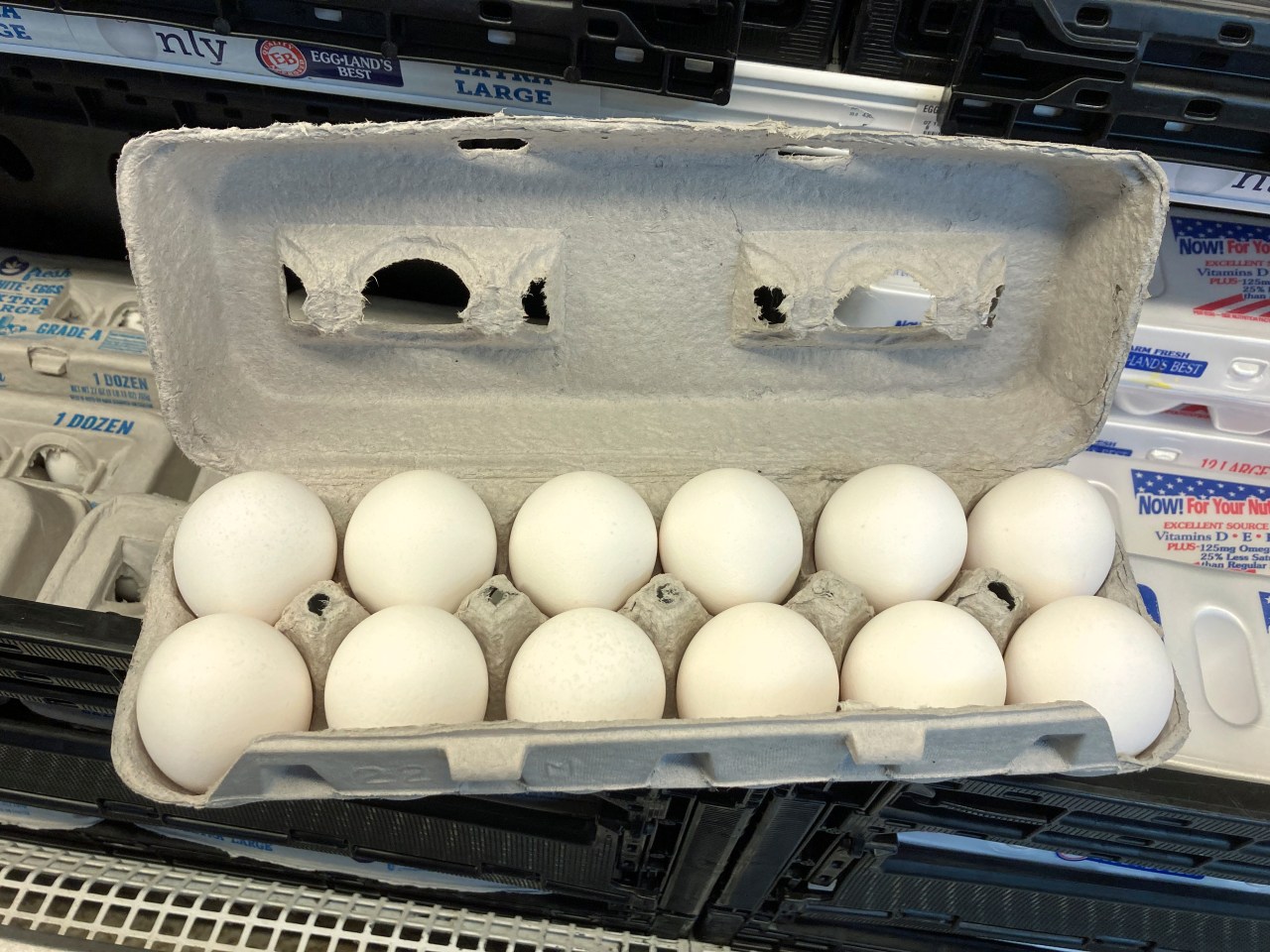 Has Trump's Egg Price Prediction Come True? Has Trump's Egg Price Prediction Come True?