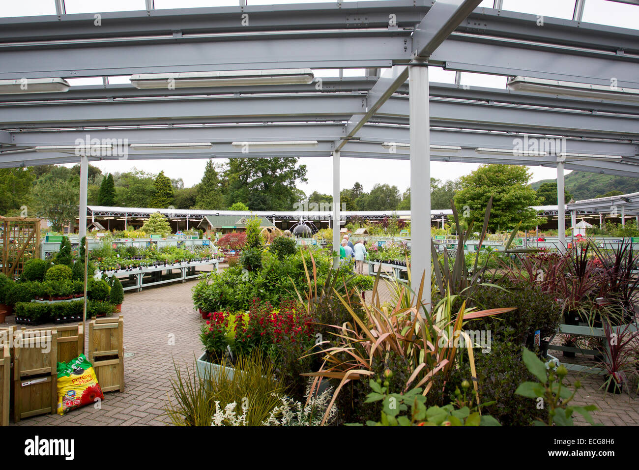 Hayes Garden World Theft: Ambleside Couple Charged With £300 Larceny Hayes Garden World Theft: Ambleside Couple Charged With £300 Larceny