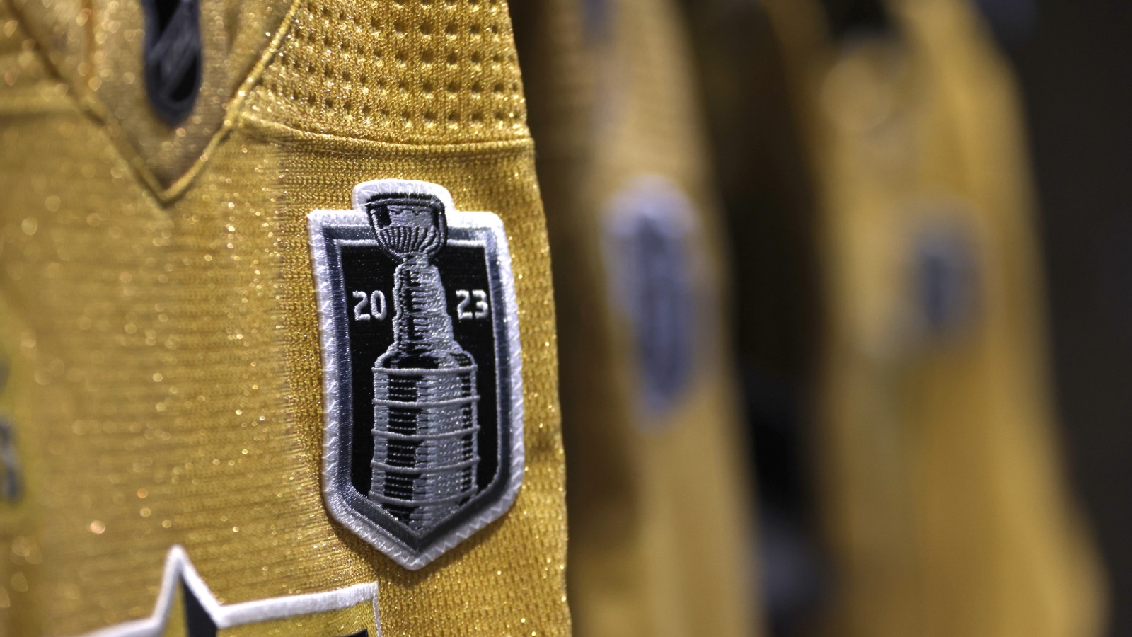 Hertl's Injury: Impact On Vegas Golden Knights Hertl's Injury: Impact On Vegas Golden Knights