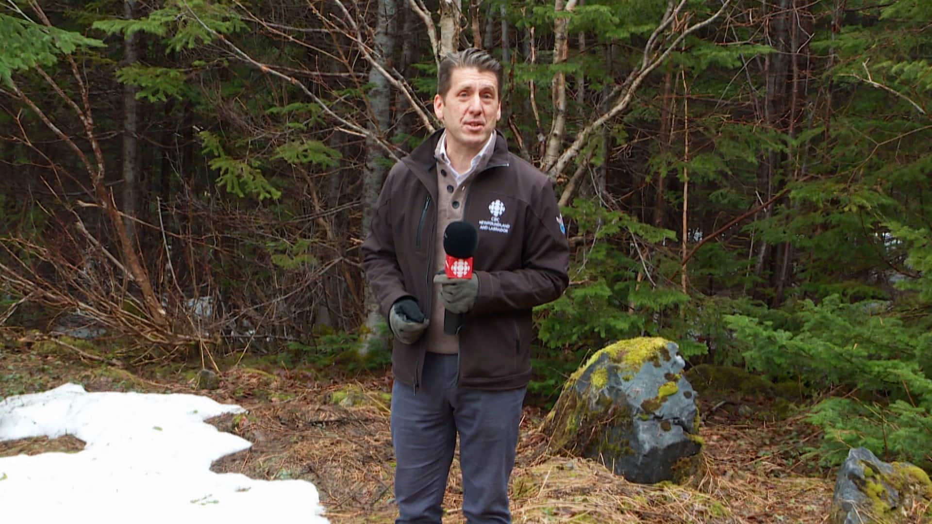 Homes Reduced To Ashes: Eastern Newfoundland Battles Devastating Wildfires Homes Reduced To Ashes: Eastern Newfoundland Battles Devastating Wildfires