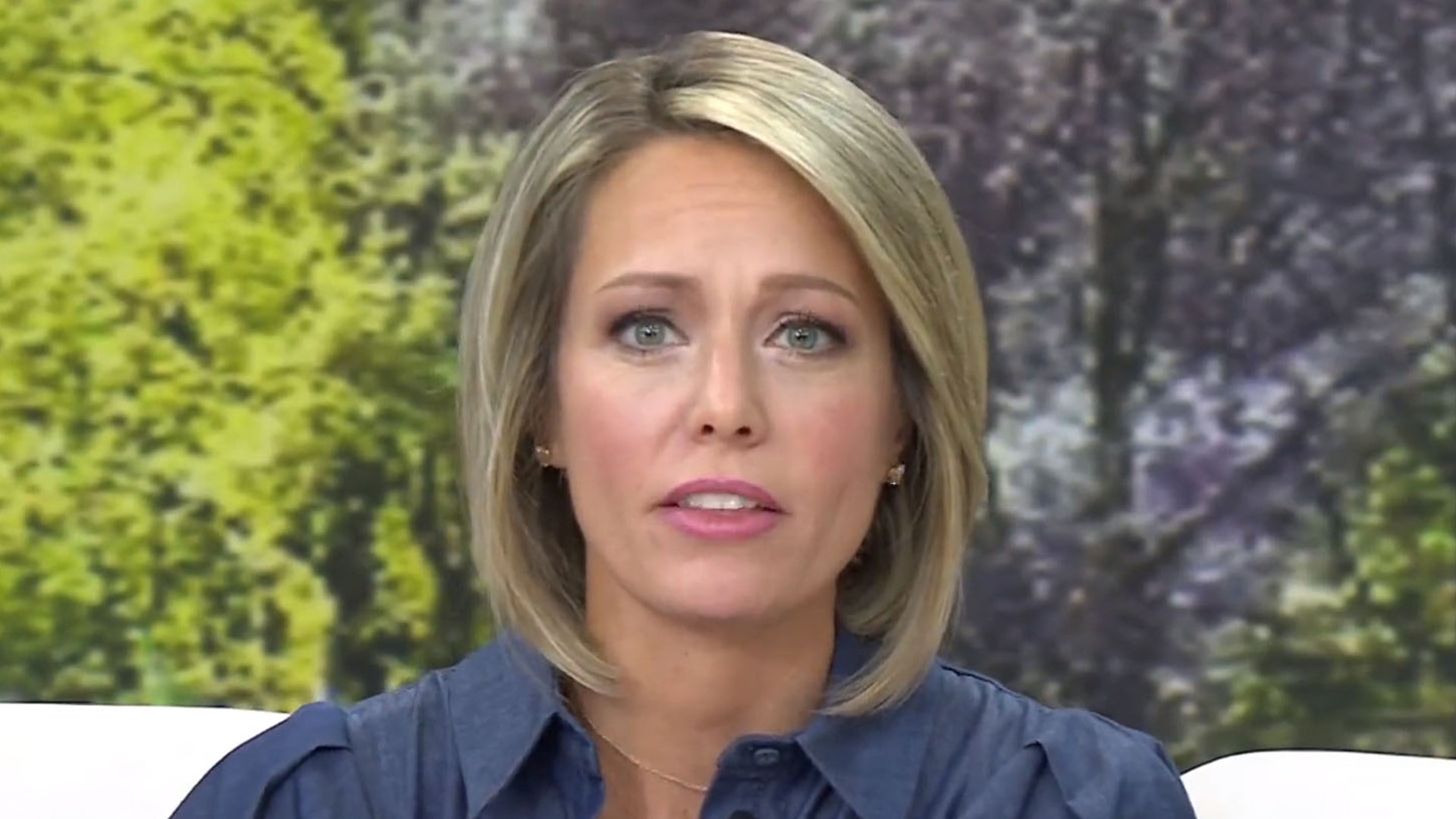 How Dylan Dreyer's Weight Loss Transformed Her TODAY Show Presence How Dylan Dreyer's Weight Loss Transformed Her TODAY Show Presence