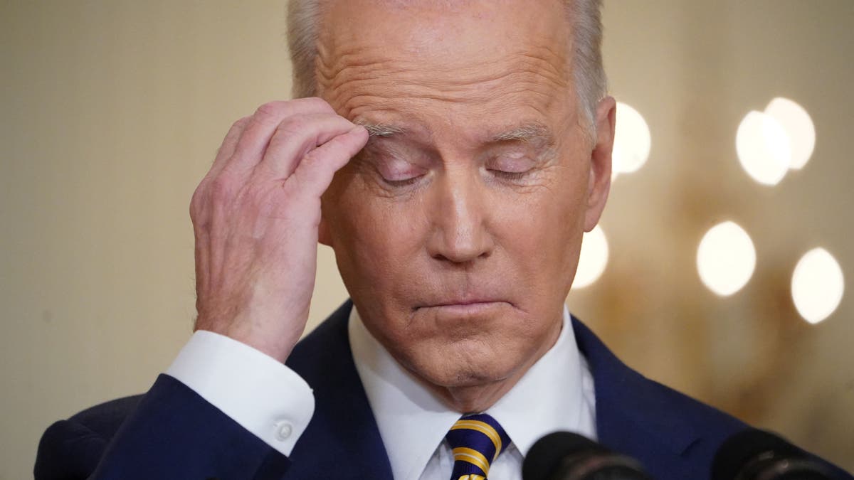 Hunter Biden Recordings: Assessing President Biden's Mental Fitness Hunter Biden Recordings: Assessing President Biden's Mental Fitness