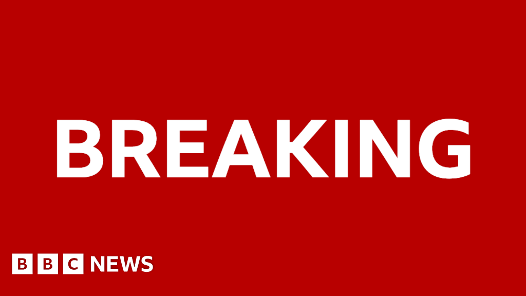 ICE Evasion: Migrant Remains In Tree For Eight Hours To Avoid Deportation ICE Evasion: Migrant Remains In Tree For Eight Hours To Avoid Deportation