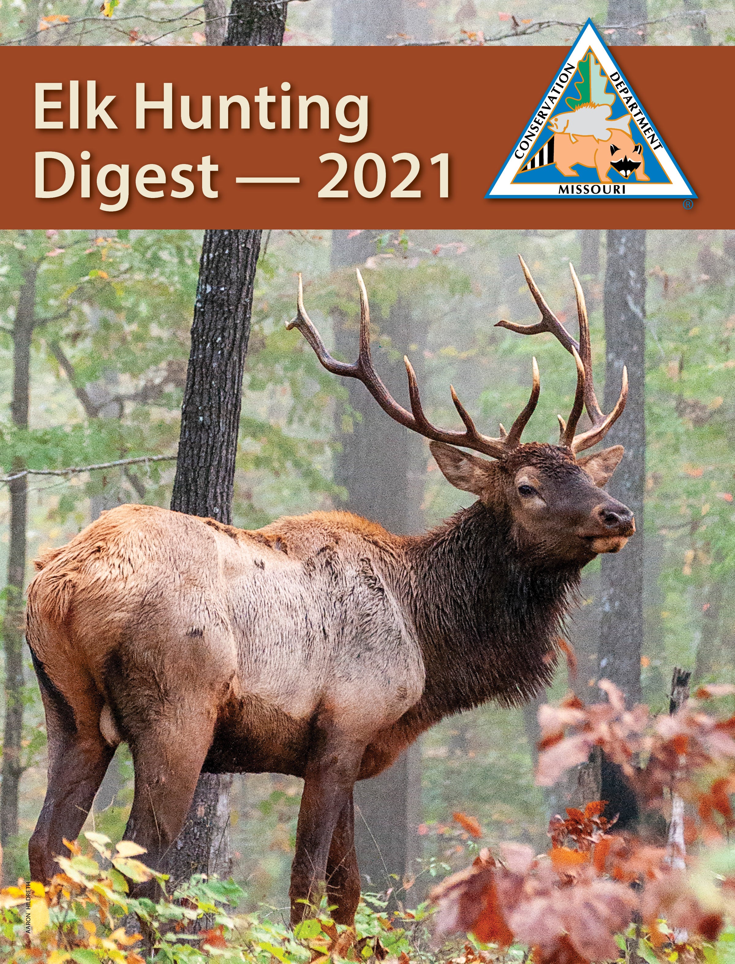 Impact Of Public Comment: Fewer Jackson Elk Hunting Permits Impact Of Public Comment: Fewer Jackson Elk Hunting Permits