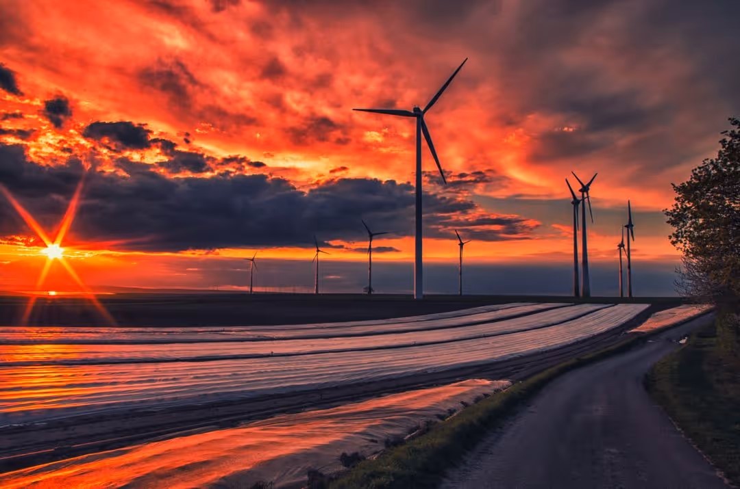 Investigating The Economic Viability Of Offshore Wind Farms Investigating The Economic Viability Of Offshore Wind Farms
