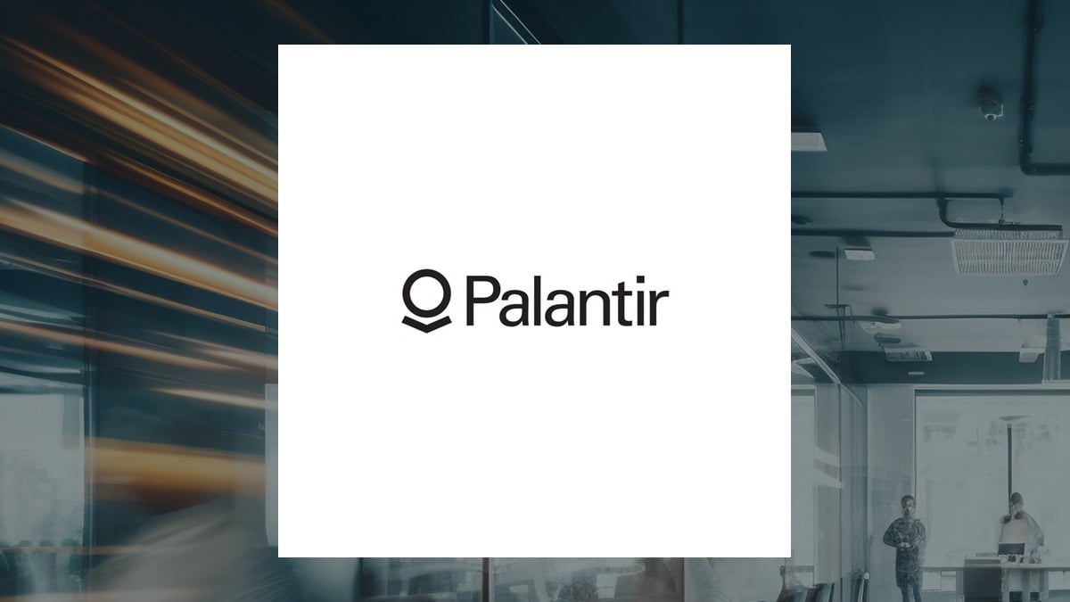 Investment Analysis: Palantir's 30% Market Decline Investment Analysis: Palantir's 30% Market Decline