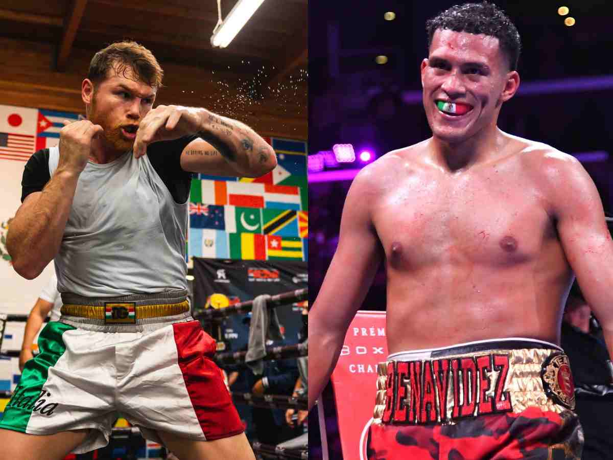 Is Canelo Alvarez Avoiding David Benavidez? The Fear Of A Mexican Showdown Is Canelo Alvarez Avoiding David Benavidez? The Fear Of A Mexican Showdown