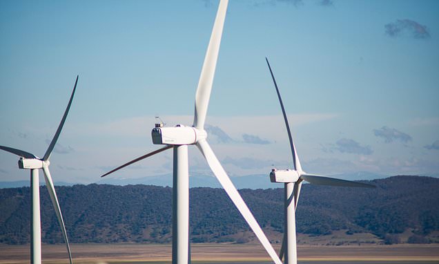 Is Energy Australia's Go Neutral Campaign Greenwashing? A Landmark Case Examined Is Energy Australia's Go Neutral Campaign Greenwashing? A Landmark Case Examined