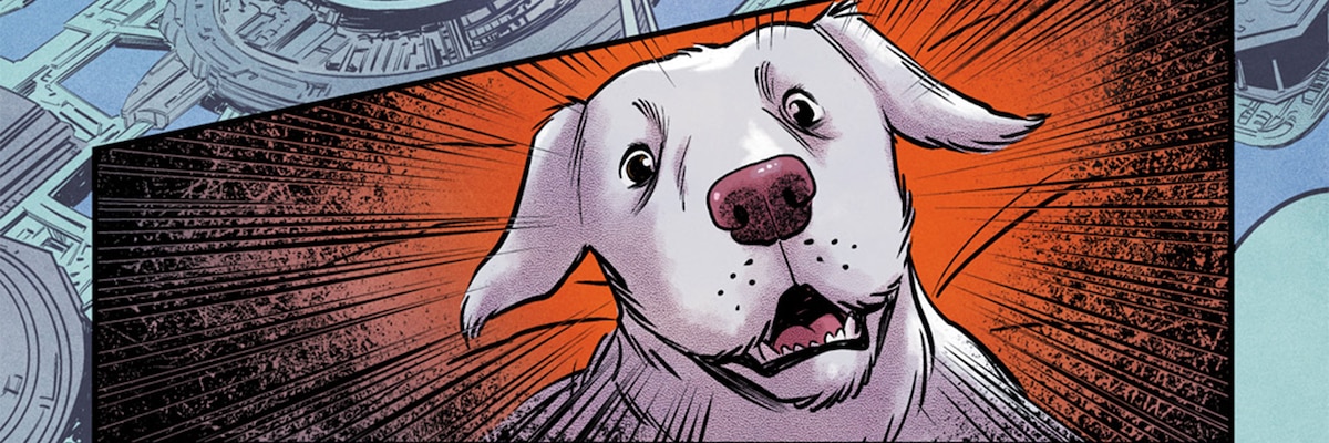 Is Krypto: The Last Dog Of Krypton Worth Watching? A Critical Look Is Krypto: The Last Dog Of Krypton Worth Watching? A Critical Look