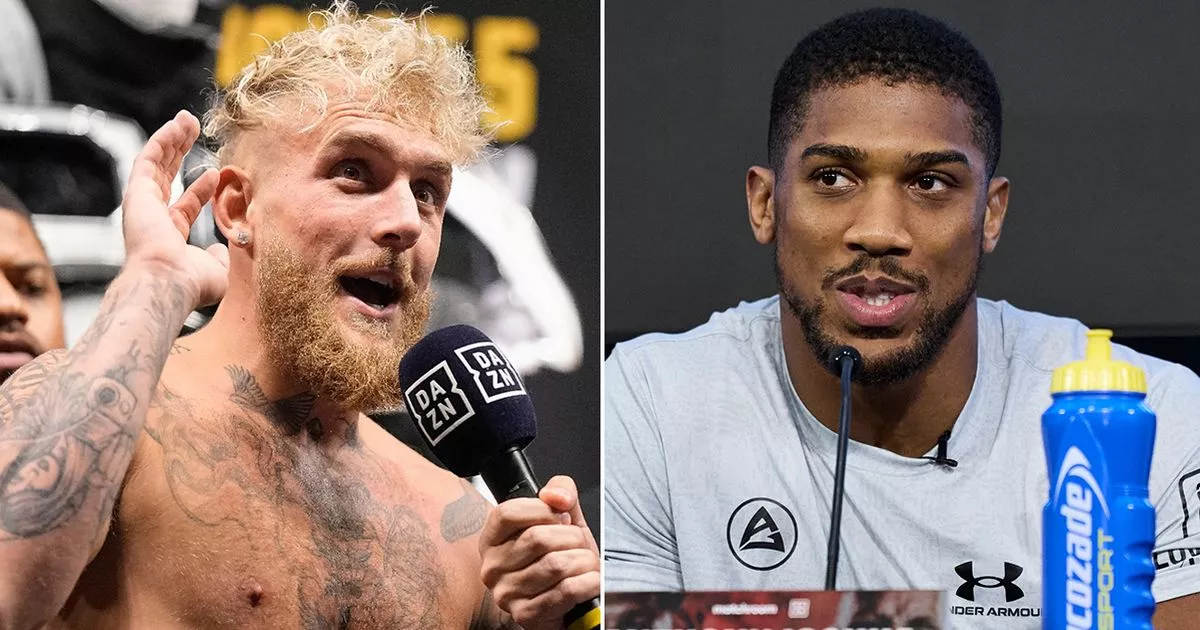 Jake Paul And His Former Rival Clash Over Joshua Fight Speculation Jake Paul And His Former Rival Clash Over Joshua Fight Speculation