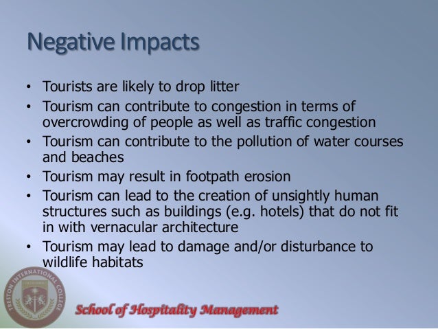 Japanese Manga Sparks Travel Fears: Disaster Prediction Impacts Tourism Japanese Manga Sparks Travel Fears: Disaster Prediction Impacts Tourism