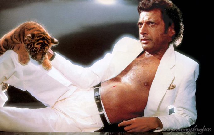 Jeff Goldblum's Best Performances: A Retrospective Jeff Goldblum's Best Performances: A Retrospective