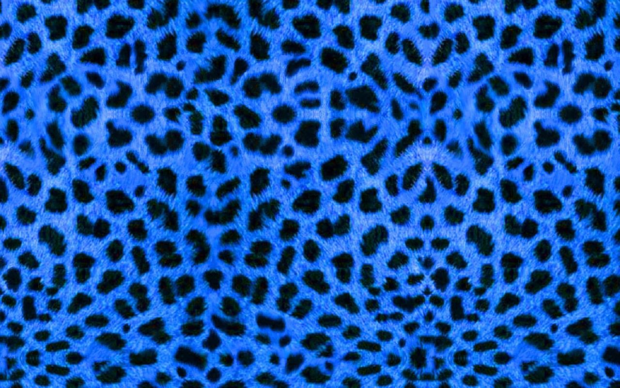Jessica Simpson's Chic Airport Look: Cheetah Print & Blue Fur Coat Jessica Simpson's Chic Airport Look: Cheetah Print & Blue Fur Coat