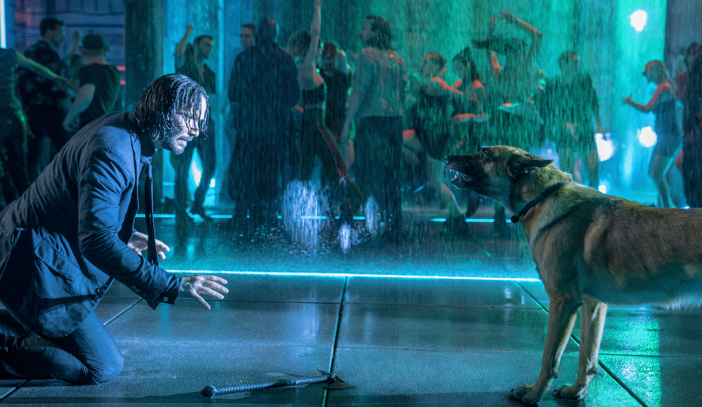 John Wick Chapter 5: Everything We Know So Far John Wick Chapter 5: Everything We Know So Far